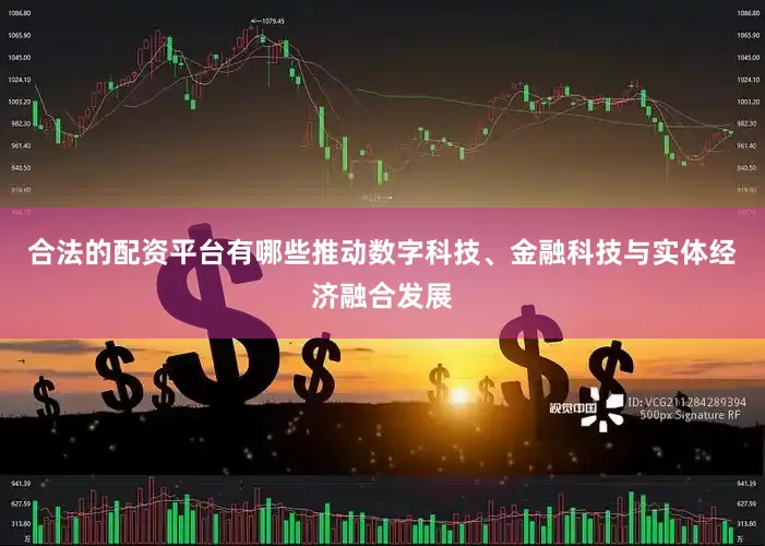 合法的配资平台有哪些推动数字科技、金融科技与实体经济融合发展