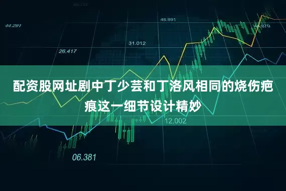 配资股网址剧中丁少芸和丁洛风相同的烧伤疤痕这一细节设计精妙